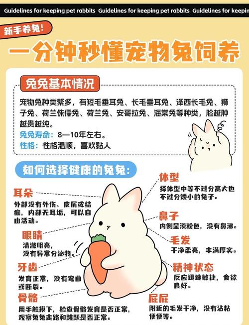 兔子为什么不能吃鸭饲料-第3张图片-宁夏农业信息网