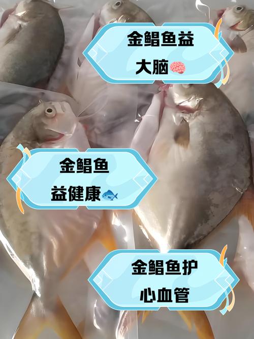 金鲳鱼什么饲料-第2张图片-宁夏农业信息网