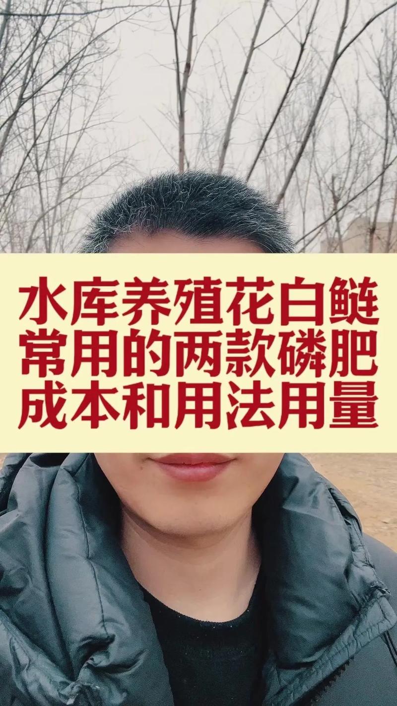 养白鲢用什么饲料-第1张图片-宁夏农业信息网