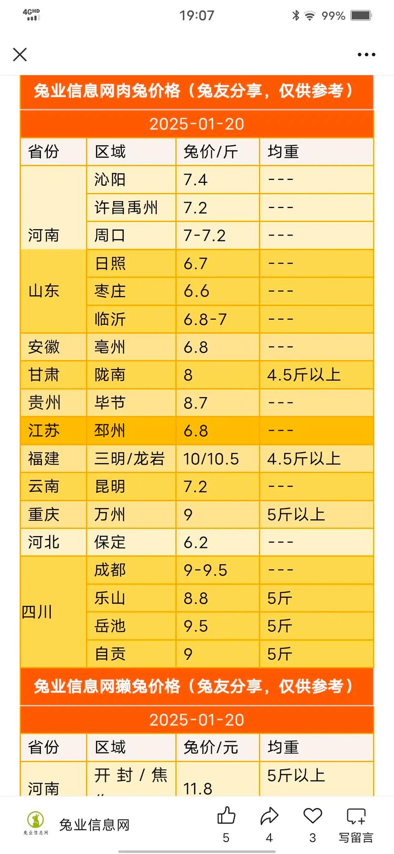山东兔价格是多少-第2张图片-宁夏农业信息网