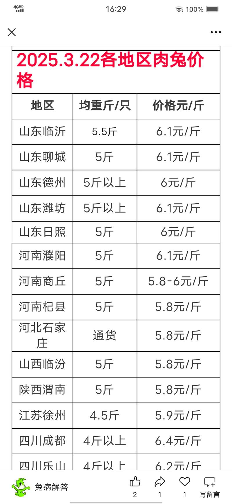 山东兔价格是多少-第3张图片-宁夏农业信息网