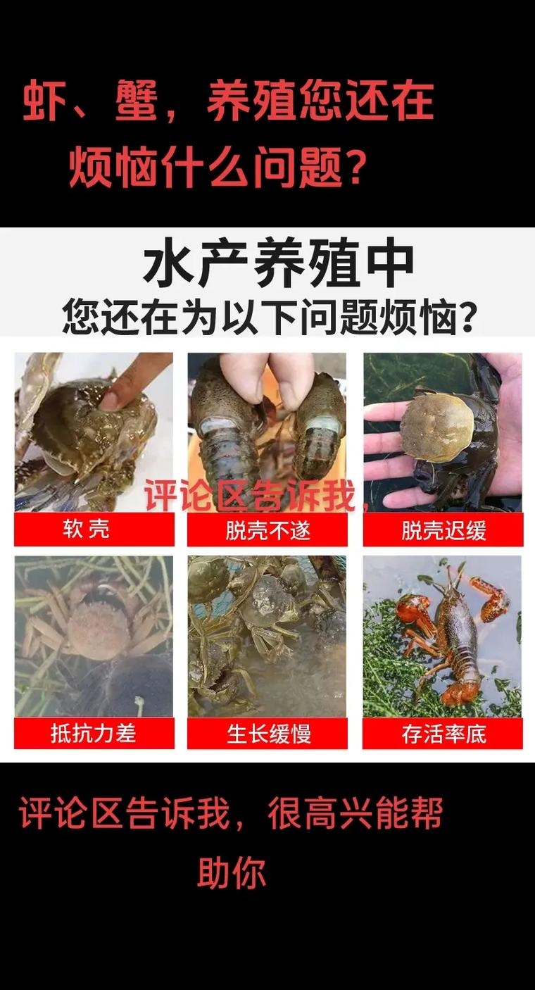 小龙虾养殖易得什么病-第2张图片-宁夏农业信息网
