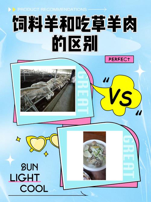 羊喂吃饲料有什么好处-第3张图片-宁夏农业信息网