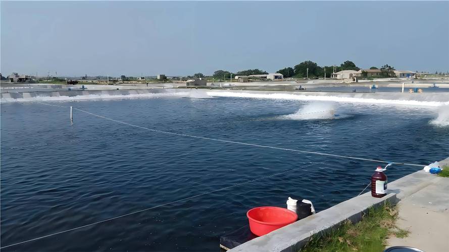 水产养殖业指什么-第2张图片-宁夏农业信息网