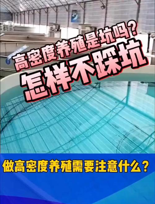 什么叫高密度养殖-第2张图片-宁夏农业信息网