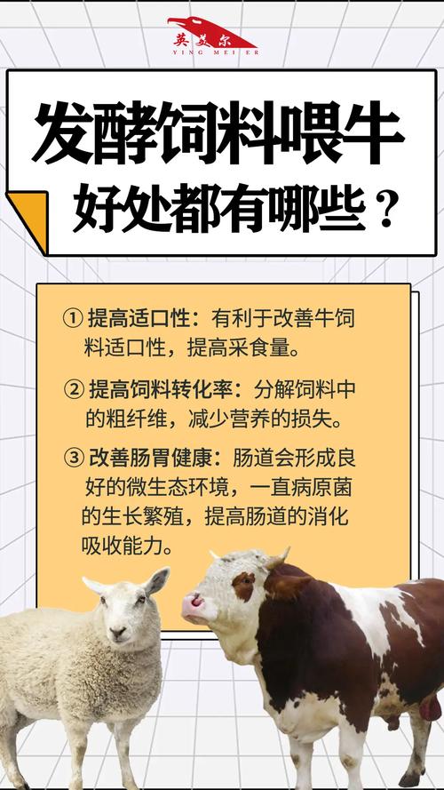 饲料喂牛有什么坏处-第2张图片-宁夏农业信息网