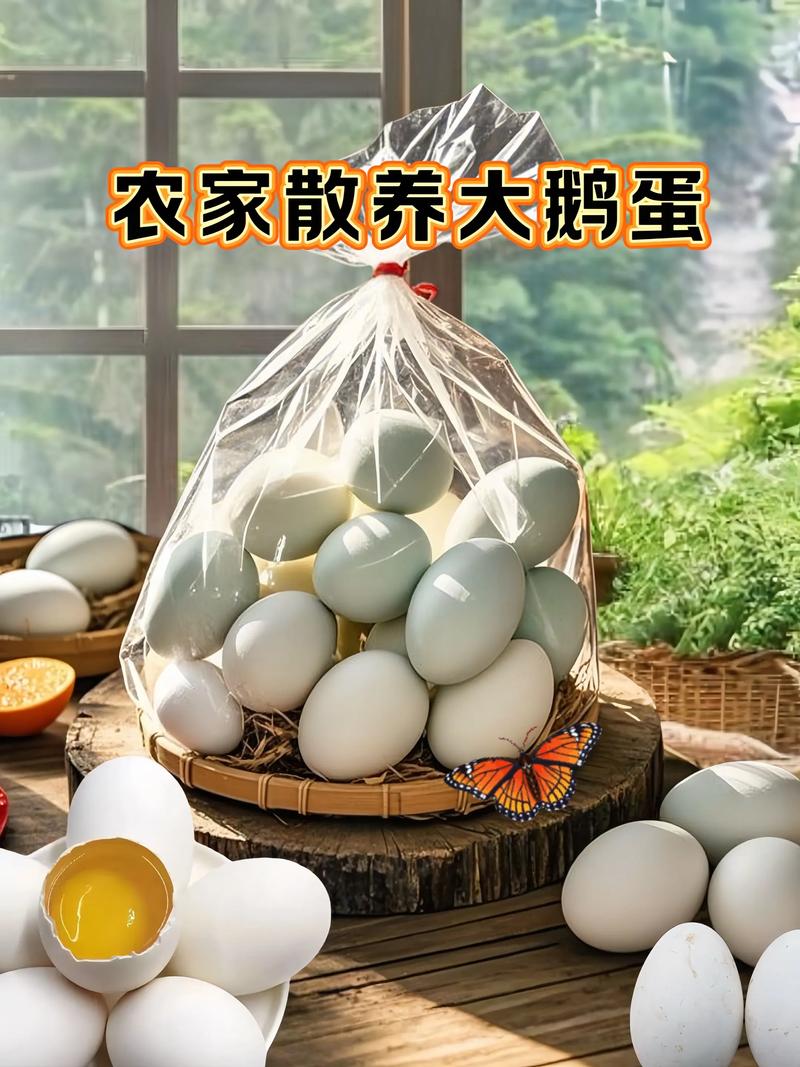 鹅下蛋期间需要喂什么饲料-第3张图片-宁夏农业信息网