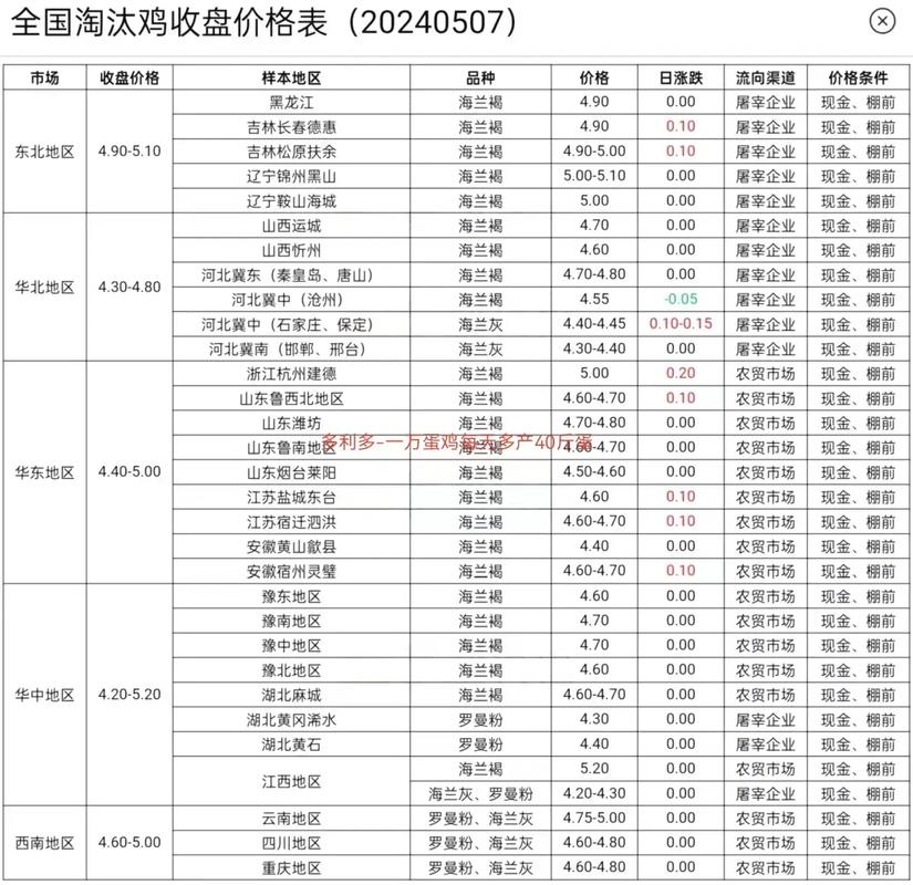河南淘汰鸡价格多少-第1张图片-宁夏农业信息网