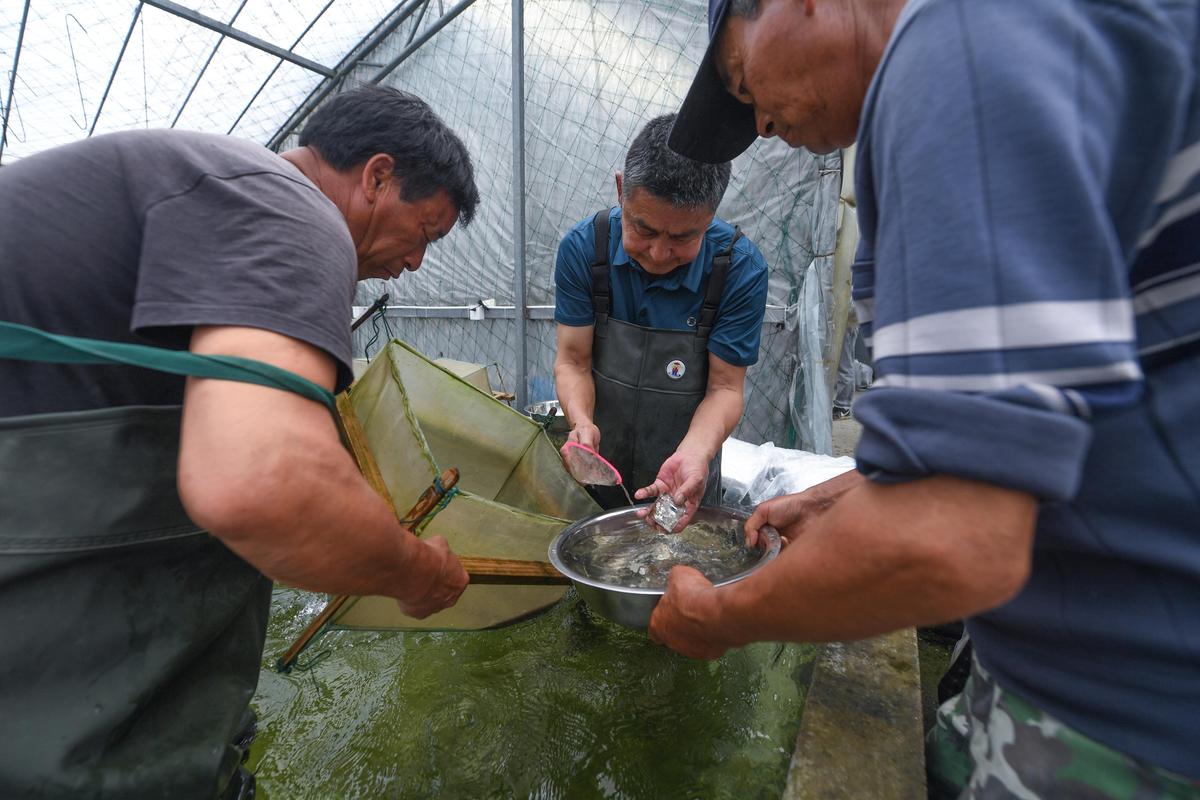 浙江适合养殖什么水产-第3张图片-宁夏农业信息网