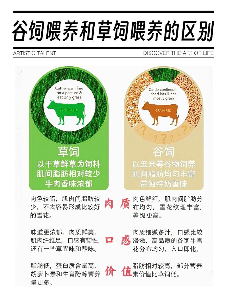 养牛为什么要喂饲料-第3张图片-宁夏农业信息网