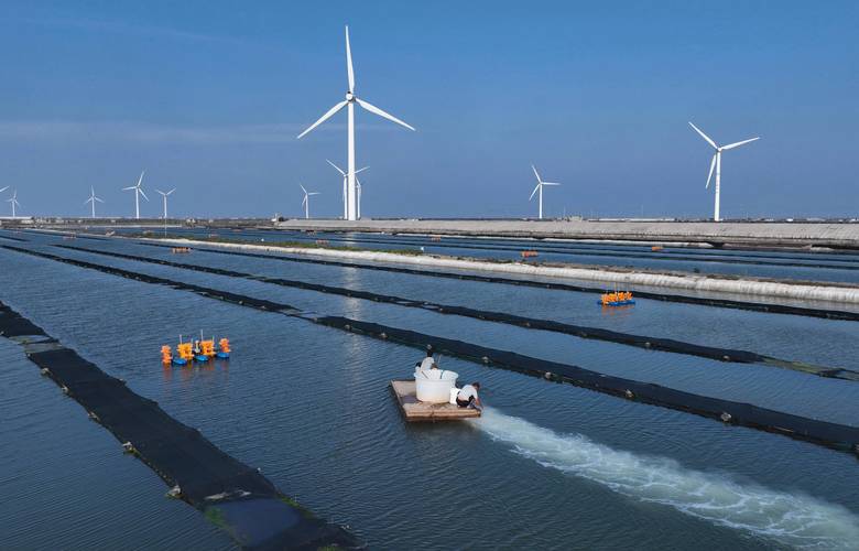 近海养殖是干什么-第1张图片-宁夏农业信息网