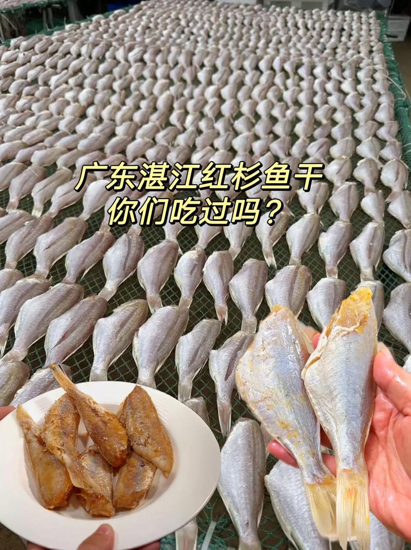 广东地区适合养殖什么鱼-第2张图片-宁夏农业信息网