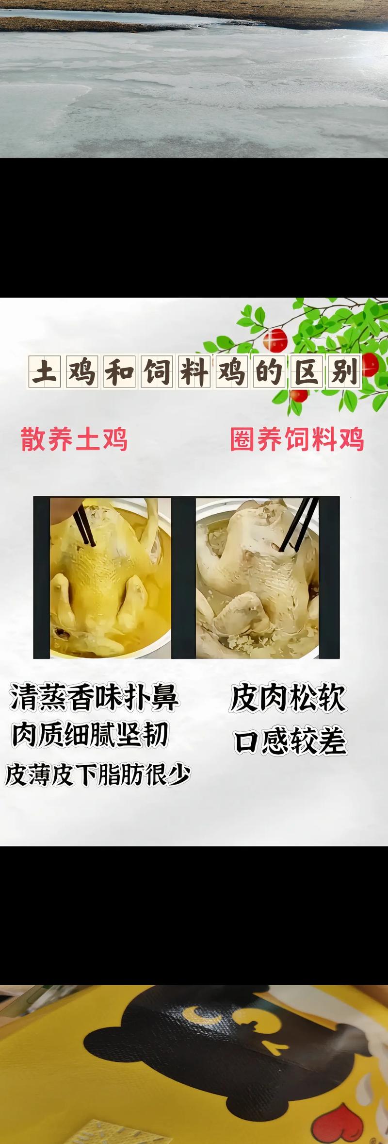 土鸡饲料用什么配比最好-第3张图片-宁夏农业信息网