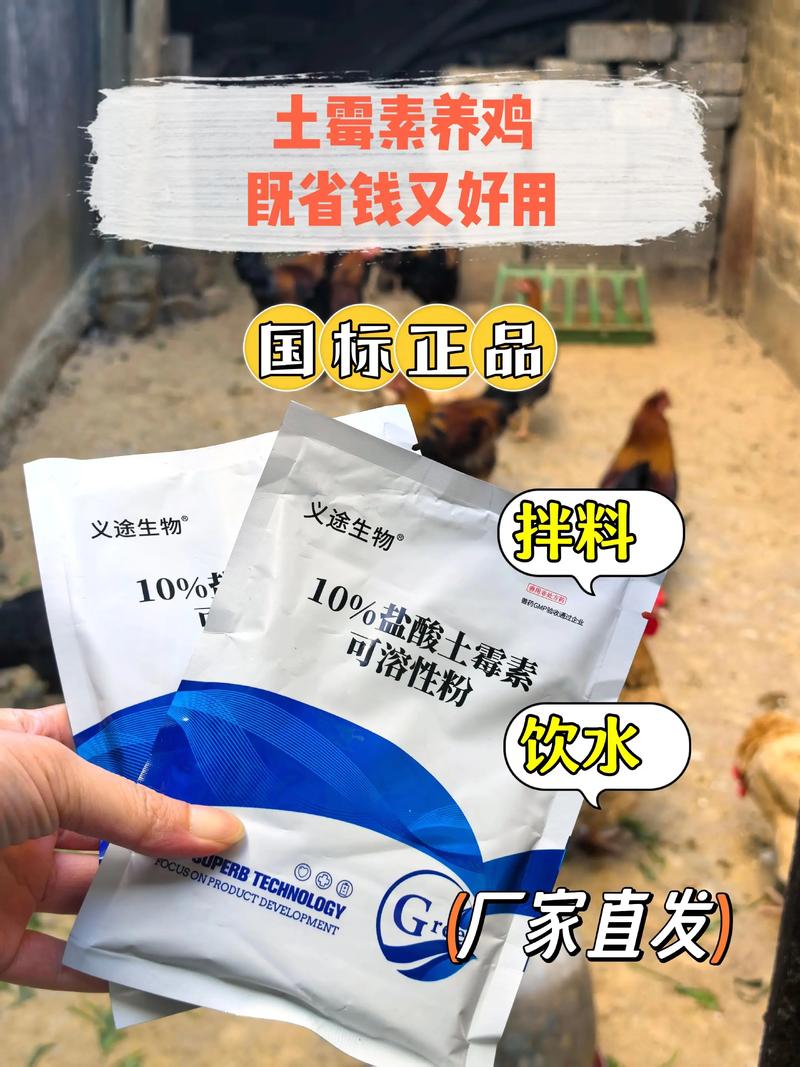 土鸡饲料用什么配比最好-第1张图片-宁夏农业信息网