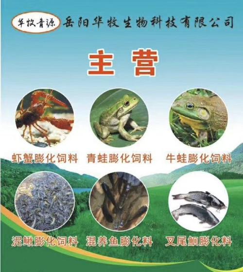 喂养黄鳝用什么饲料-第3张图片-宁夏农业信息网