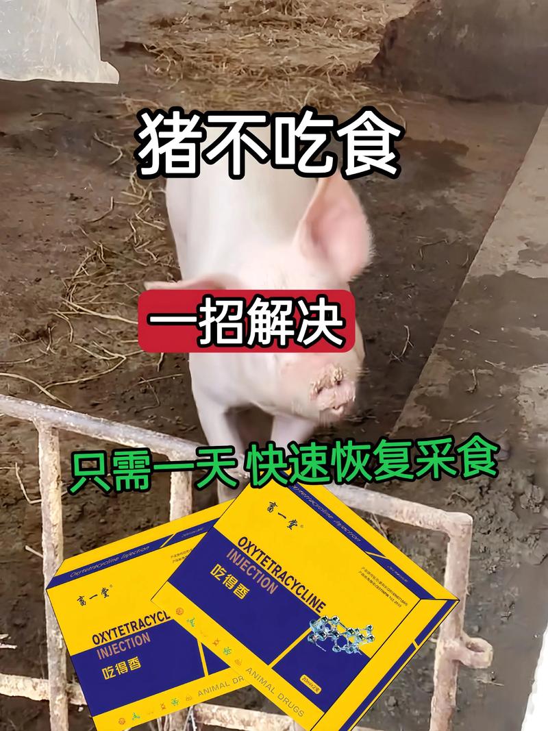 为什么大猪不能吃小猪饲料-第3张图片-宁夏农业信息网