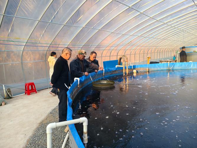 北方水产养殖什么时候是旺季-第1张图片-宁夏农业信息网