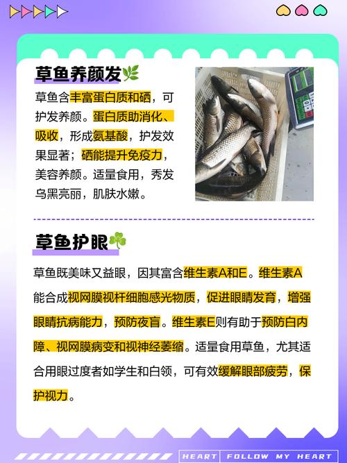 草鱼不食饲料什么原因-第1张图片-宁夏农业信息网 草鱼不食饲料什么原因-第1张图片-宁夏农业信息网