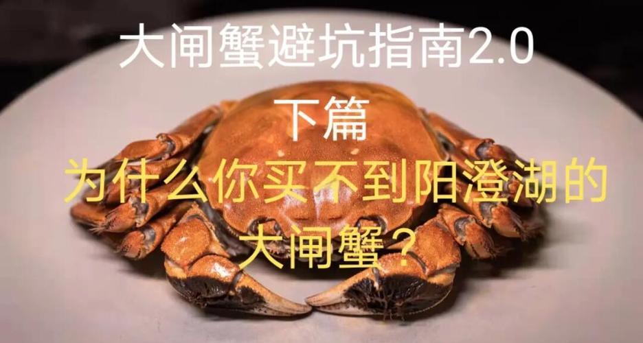 为什么山水不适合养殖大闸蟹-第2张图片-宁夏农业信息网