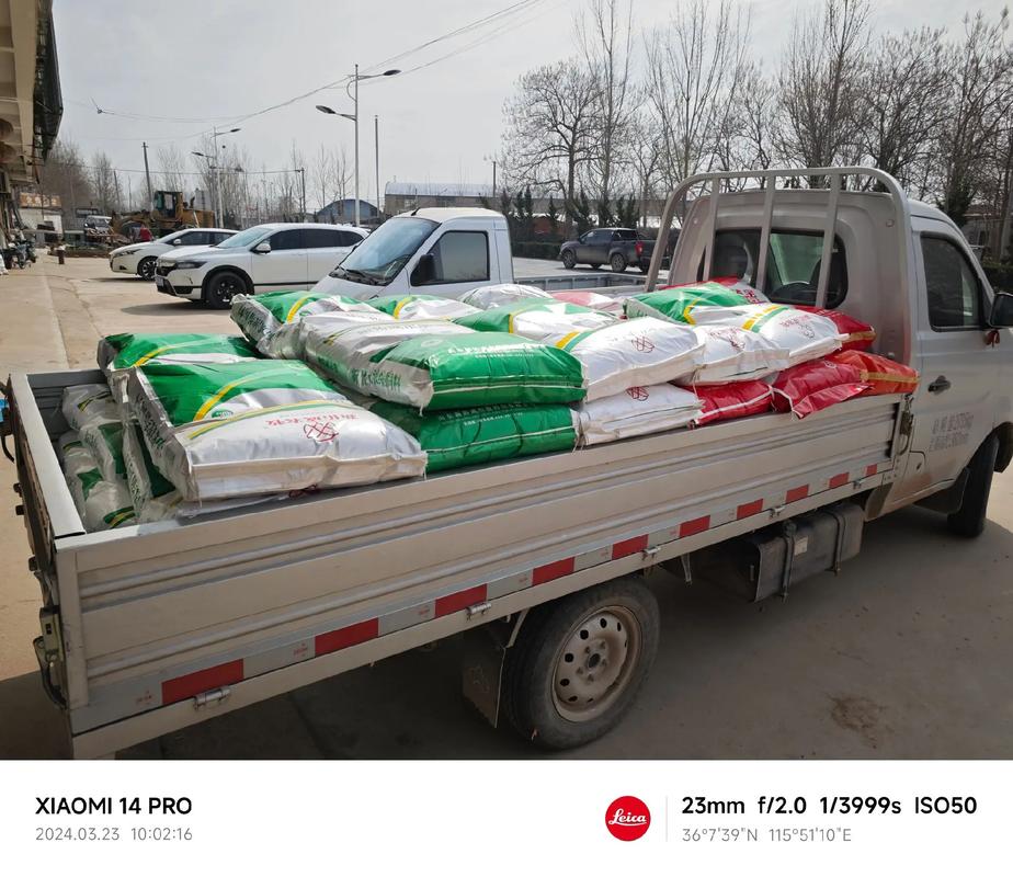 给猪喂什么饲料最好-第1张图片-宁夏农业信息网