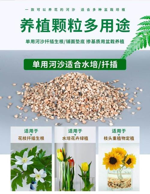 粗河沙是怎么形成的-第3张图片-宁夏农业信息网