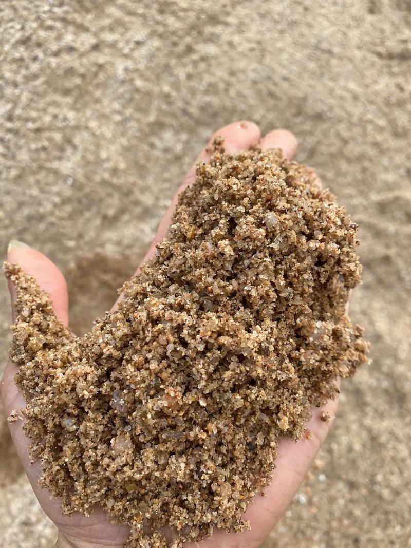 粗河沙是怎么形成的-第2张图片-宁夏农业信息网