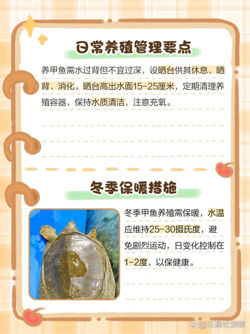 为什么温室养殖的甲鱼便宜-第1张图片-宁夏农业信息网