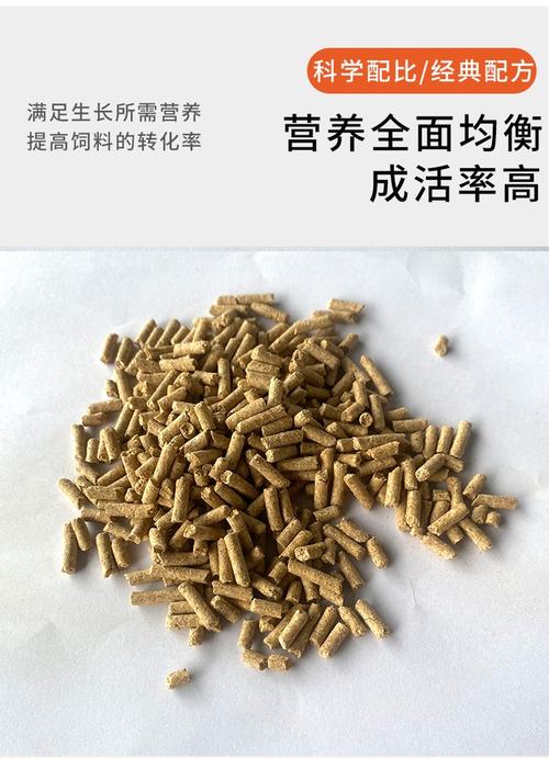 什么是牛吃的精饲料-第2张图片-宁夏农业信息网