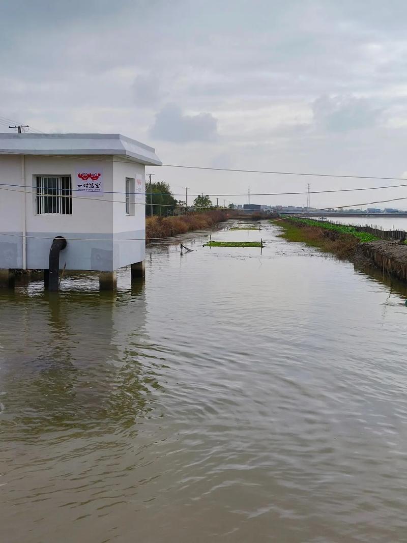 水产养殖三池指的是什么-第3张图片-宁夏农业信息网