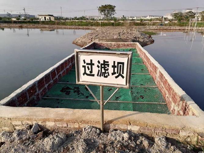 水产养殖三池指的是什么-第2张图片-宁夏农业信息网