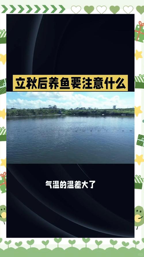 秋天水产养殖的注意什么-第3张图片-宁夏农业信息网