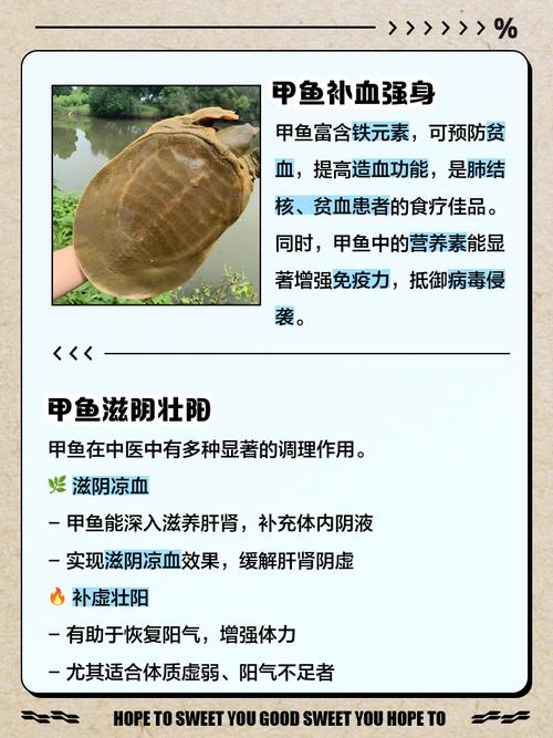 今日生态甲鱼价格多少-第2张图片-宁夏农业信息网