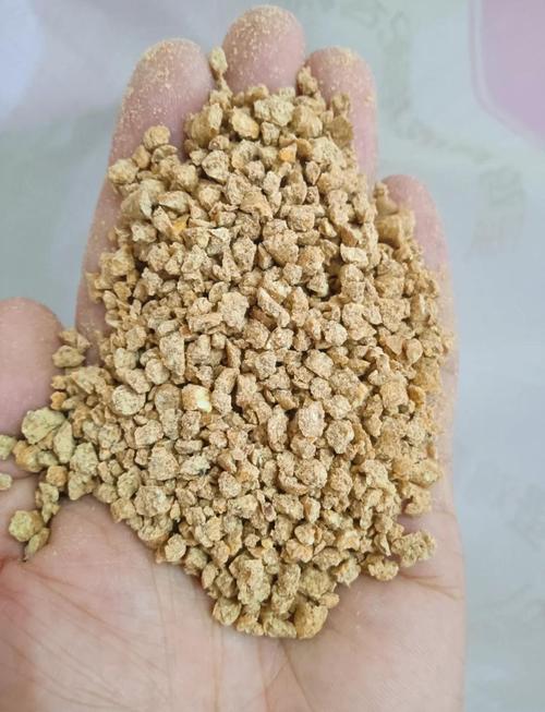 鸡饲料过盛产什么蛋-第1张图片-宁夏农业信息网 鸡饲料过盛产什么蛋-第1张图片-宁夏农业信息网