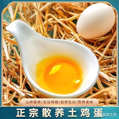 鸡饲料过盛产什么蛋-第3张图片-宁夏农业信息网 鸡饲料过盛产什么蛋-第3张图片-宁夏农业信息网