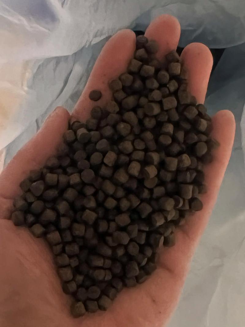 草鱼加什么饲料长得快-第3张图片-宁夏农业信息网