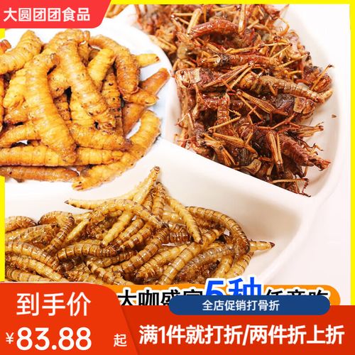 大麦虫蛹价格多少-第2张图片-宁夏农业信息网