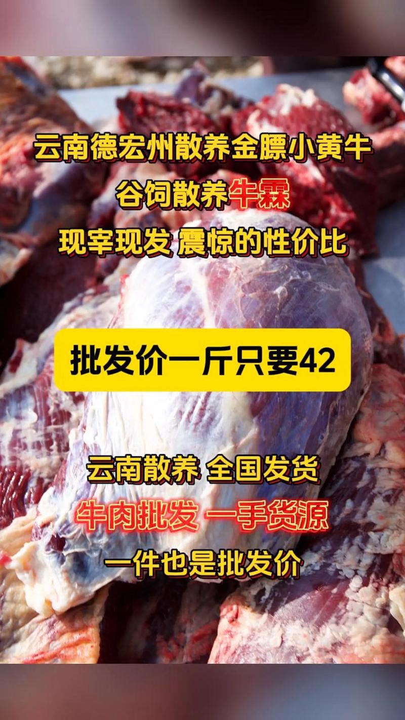 牛的主要饲料是吃什么-第2张图片-宁夏农业信息网
