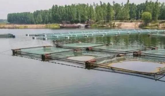 养殖塘施什么肥-第3张图片-宁夏农业信息网