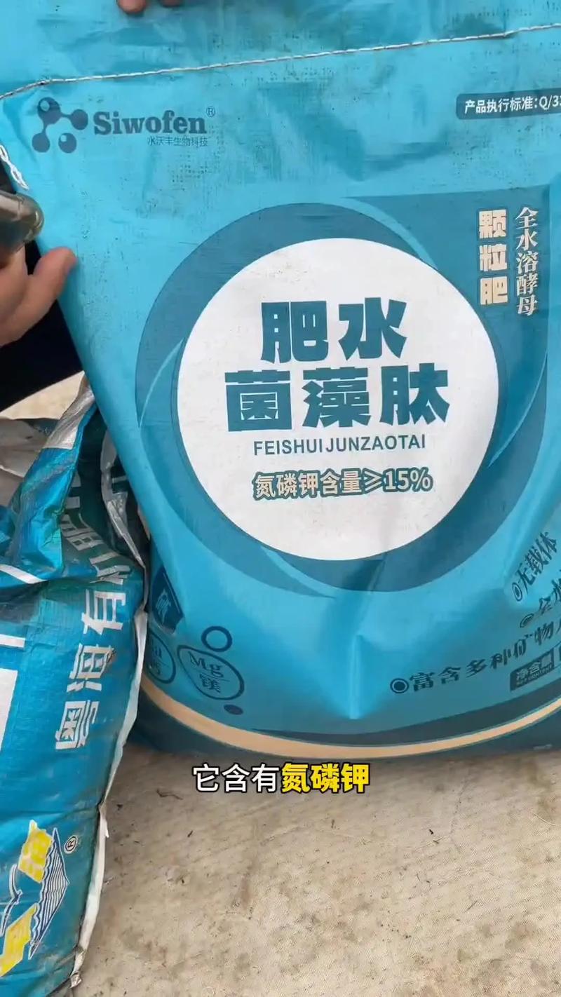 养殖塘施什么肥-第2张图片-宁夏农业信息网