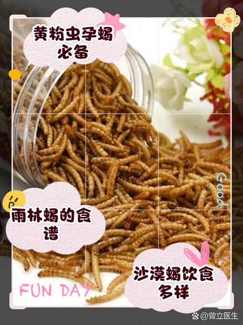 蝎子喂养吃什么饲料-第3张图片-宁夏农业信息网 蝎子喂养吃什么饲料-第3张图片-宁夏农业信息网