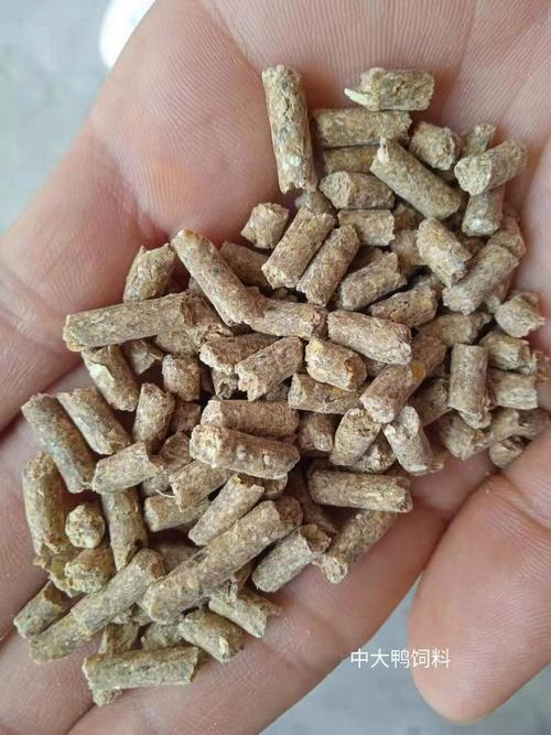 鹅耐粗饲料是什么意思-第1张图片-宁夏农业信息网