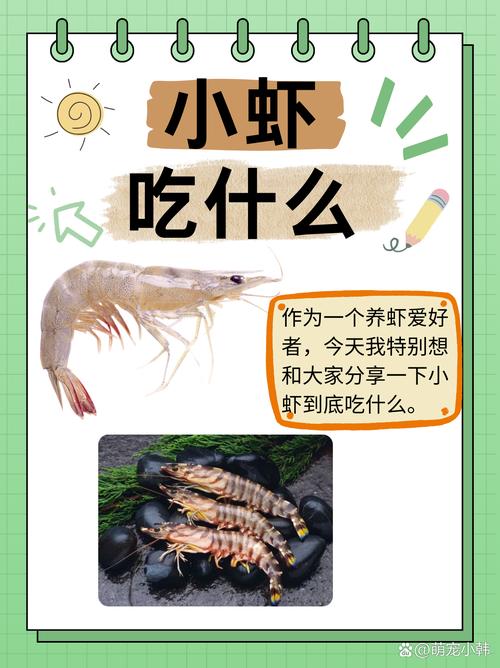 养殖的大虾喂什么-第3张图片-宁夏农业信息网