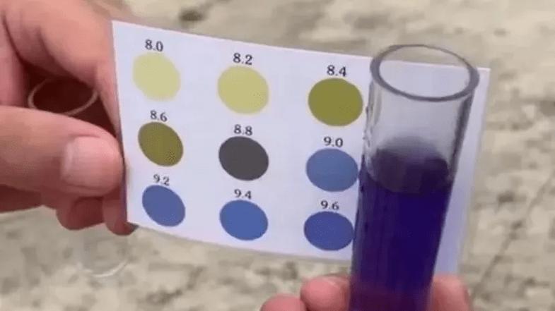 养殖ph是什么原因-第2张图片-宁夏农业信息网