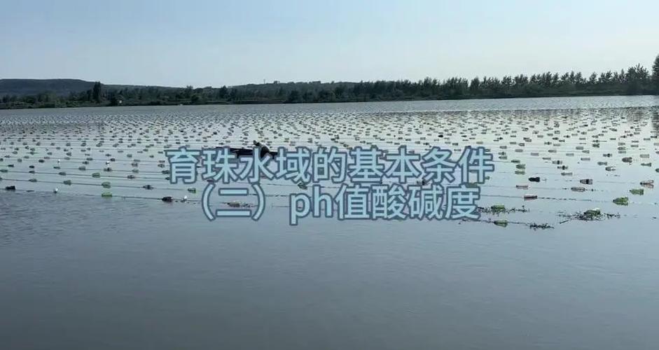 养殖ph是什么原因-第3张图片-宁夏农业信息网