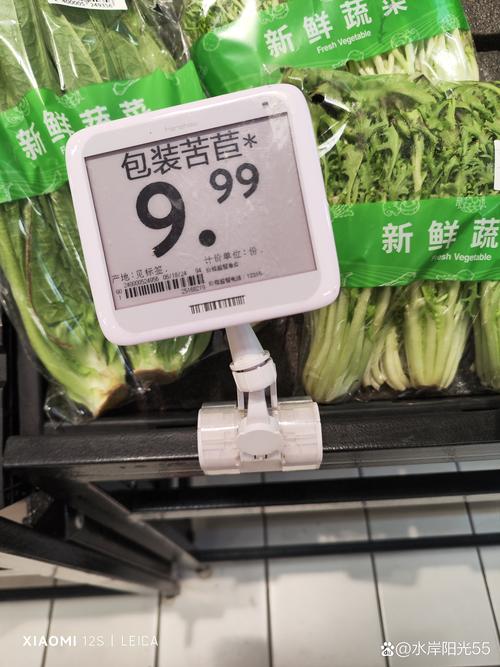 最近菜价格是多少-第3张图片-宁夏农业信息网