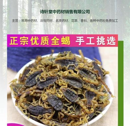 山西全蝎价格是多少-第3张图片-宁夏农业信息网