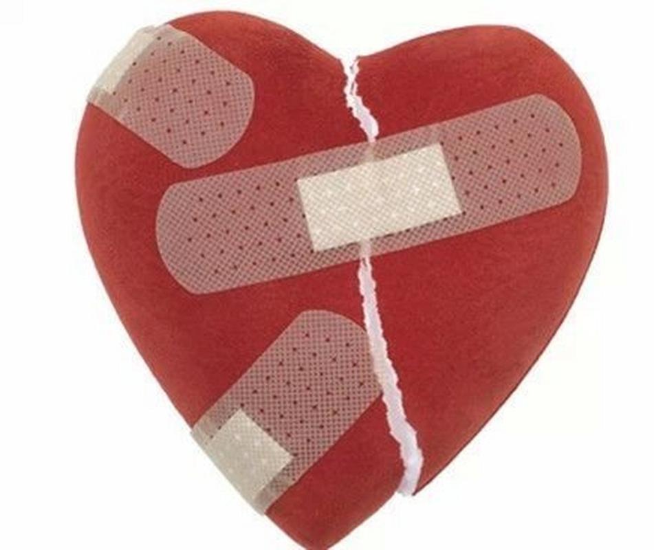 破心下料怎么处理-第3张图片-宁夏农业信息网