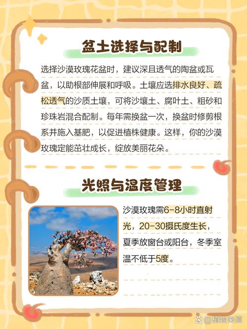 沙漠种适合养殖什么-第2张图片-宁夏农业信息网 沙漠种适合养殖什么-第2张图片-宁夏农业信息网