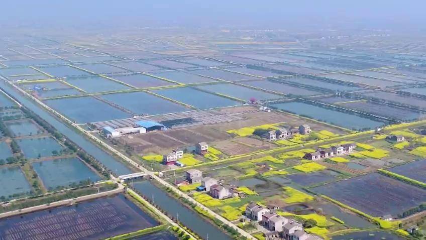 潜江龙虾养殖在什么口-第3张图片-宁夏农业信息网