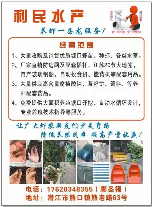 龙虾养殖应注意什么意思-第3张图片-宁夏农业信息网